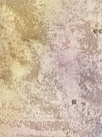Transcend close up